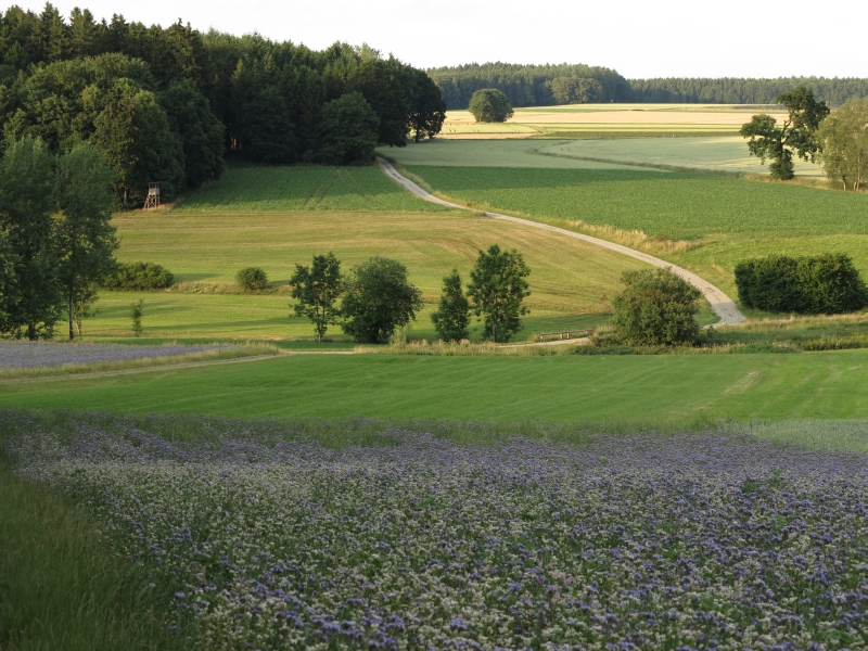 Miesachtal Miesachtal